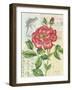 Rose Collage-Pamela Gladding-Framed Art Print