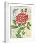 Rose Collage-Pamela Gladding-Framed Art Print