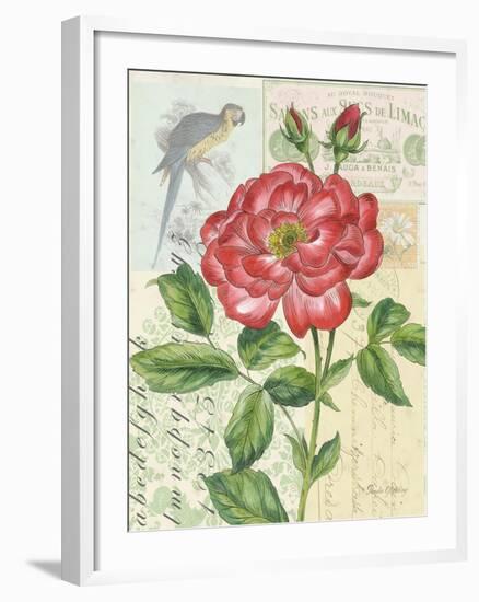 Rose Collage-Pamela Gladding-Framed Premium Giclee Print