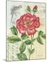 Rose Collage-Pamela Gladding-Mounted Premium Giclee Print