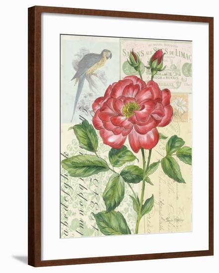 Rose Collage-Pamela Gladding-Framed Premium Giclee Print