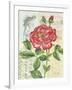 Rose Collage-Pamela Gladding-Framed Art Print