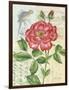 Rose Collage-Pamela Gladding-Framed Art Print