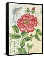 Rose Collage-Pamela Gladding-Framed Stretched Canvas