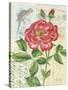 Rose Collage-Pamela Gladding-Stretched Canvas
