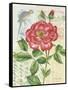 Rose Collage-Pamela Gladding-Framed Stretched Canvas