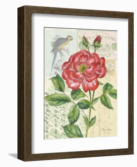 Rose Collage-Pamela Gladding-Framed Art Print