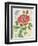 Rose Collage-Pamela Gladding-Framed Art Print