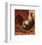Rose-Combed Dorking Cock-Cassell's Poultry Book-Framed Art Print