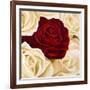 Rose Composition II-Serena Biffi-Framed Art Print