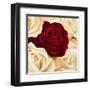 Rose Composition II-Serena Biffi-Framed Art Print