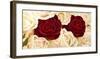 Rose Composition-Serena Biffi-Framed Art Print