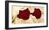 Rose Composition-Serena Biffi-Framed Art Print