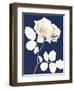 Rose Cool Dynasty 1-Albert Koetsier-Framed Art Print