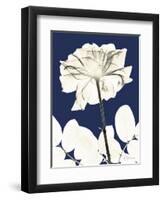 Rose Cool Dynasty 2-Albert Koetsier-Framed Art Print