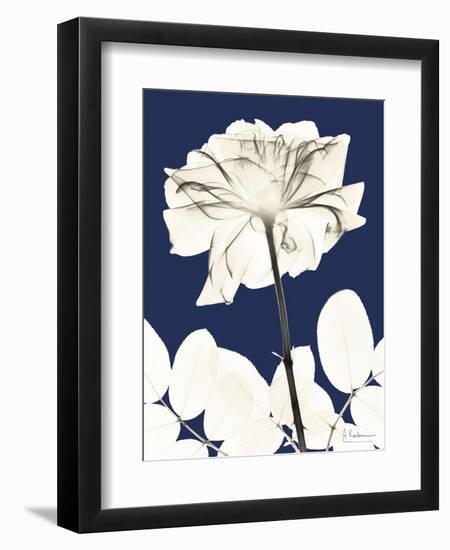 Rose Cool Dynasty 2-Albert Koetsier-Framed Art Print