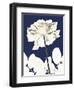 Rose Cool Dynasty 2-Albert Koetsier-Framed Art Print