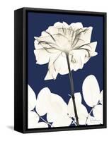 Rose Cool Dynasty 2-Albert Koetsier-Framed Stretched Canvas