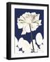 Rose Cool Dynasty 2-Albert Koetsier-Framed Art Print