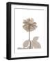 Rose Cream 2-Albert Koetsier-Framed Art Print