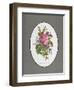 Rose Cumberland, Pansies and Cineraria-Pierre Joseph Redouté-Framed Giclee Print