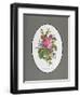 Rose Cumberland, Pansies and Cineraria-Pierre Joseph Redouté-Framed Giclee Print