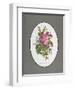 Rose Cumberland, Pansies and Cineraria-Pierre Joseph Redouté-Framed Giclee Print