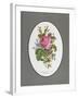 Rose Cumberland, Pansies and Cineraria-Pierre Joseph Redouté-Framed Giclee Print