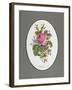 Rose Cumberland, Pansies and Cineraria-Pierre Joseph Redouté-Framed Giclee Print