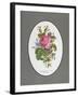 Rose Cumberland, Pansies and Cineraria-Pierre Joseph Redouté-Framed Giclee Print