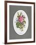 Rose Cumberland, Pansies and Cineraria-Pierre Joseph Redouté-Framed Giclee Print