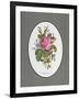 Rose Cumberland, Pansies and Cineraria-Pierre Joseph Redouté-Framed Giclee Print