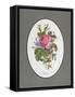 Rose Cumberland, Pansies and Cineraria-Pierre Joseph Redouté-Framed Stretched Canvas