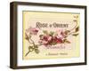 Rose D Orient-null-Framed Giclee Print