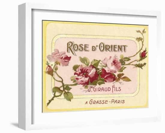 Rose D Orient-null-Framed Giclee Print