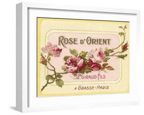 Rose D Orient-null-Framed Giclee Print