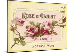 Rose D Orient-null-Mounted Giclee Print