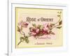 Rose D Orient-null-Framed Giclee Print