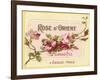 Rose D Orient-null-Framed Giclee Print