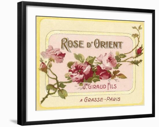 Rose D Orient-null-Framed Giclee Print