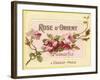 Rose D Orient-null-Framed Giclee Print