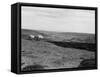 Rose Dale, Yorkshire-Staniland Pugh-Framed Stretched Canvas