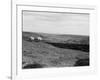 Rose Dale, Yorkshire-Staniland Pugh-Framed Photographic Print