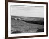 Rose Dale, Yorkshire-Staniland Pugh-Framed Photographic Print