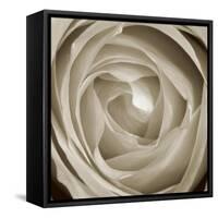 Rose Dawn II-Renee W. Stramel-Framed Stretched Canvas