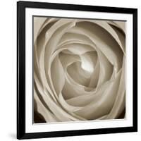 Rose Dawn II-Renee W. Stramel-Framed Art Print