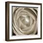 Rose Dawn II-Renee W. Stramel-Framed Art Print