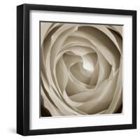 Rose Dawn II-Renee W. Stramel-Framed Art Print