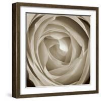 Rose Dawn II-Renee W. Stramel-Framed Art Print