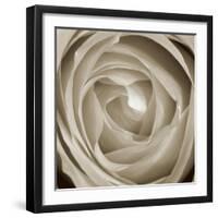 Rose Dawn II-Renee W. Stramel-Framed Art Print